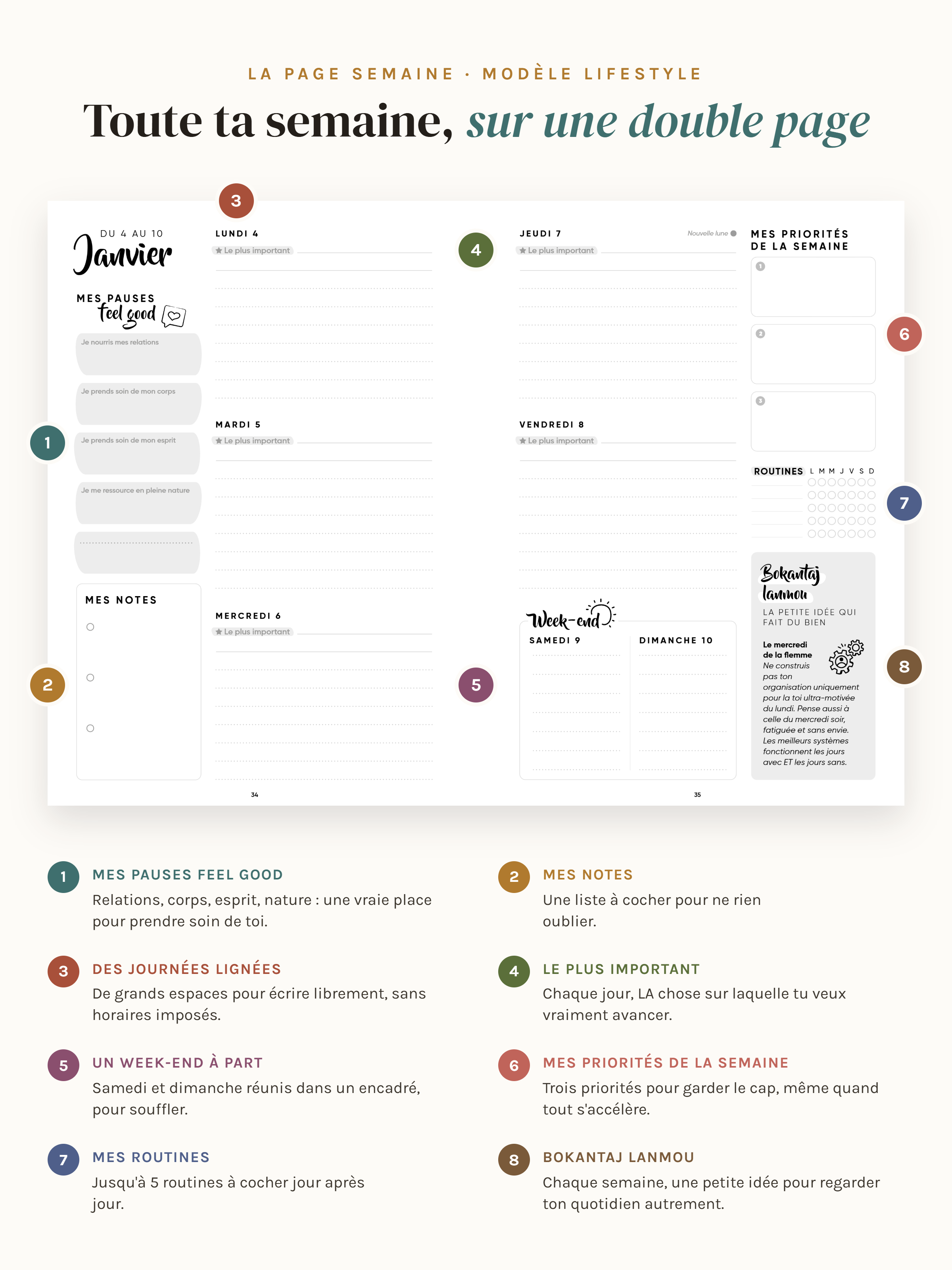 Planner LIFESTYLE